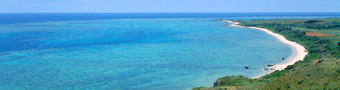 社会・環境へのかかわり